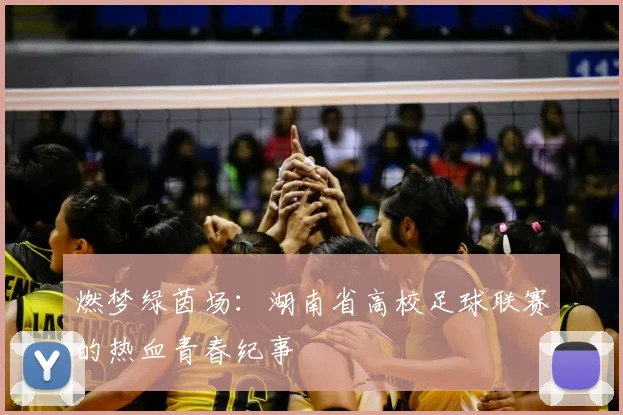 燃梦绿茵场:湖南省高校足球联赛的热血青春纪事