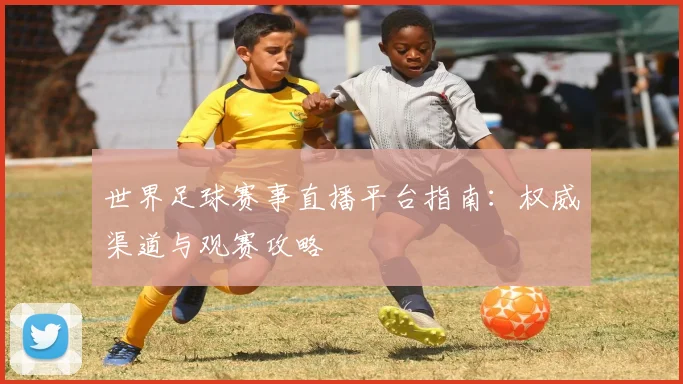 世界足球赛事直播平台指南:权威渠道与观赛攻略