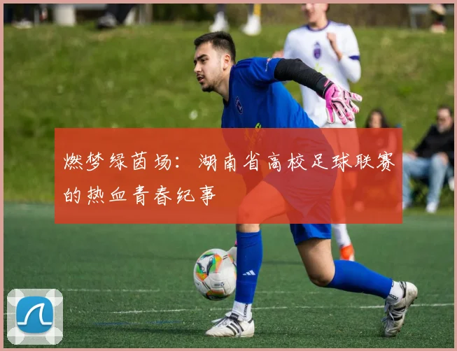 燃梦绿茵场:湖南省高校足球联赛的热血青春纪事